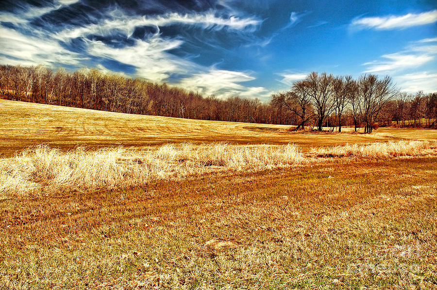Fall Photograph - Autumn Field by HD Connelly