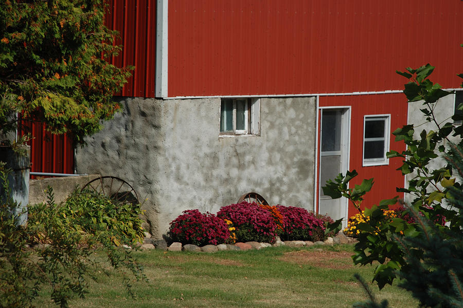 Autumn Flowers Decorating The Barn Photograph by Janice Adomeit