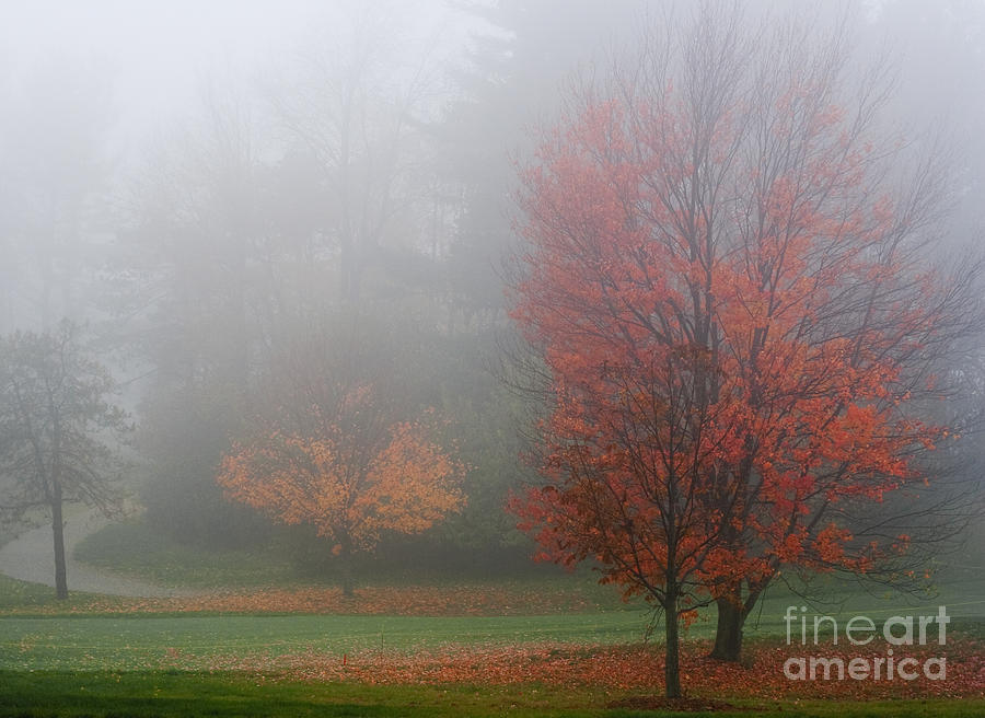 Autumn Fog Photograph by Barbara McMahon