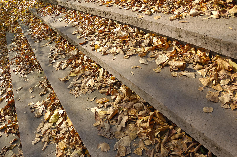 Autumn - foliage on stairs Photograph by Matthias Hauser
