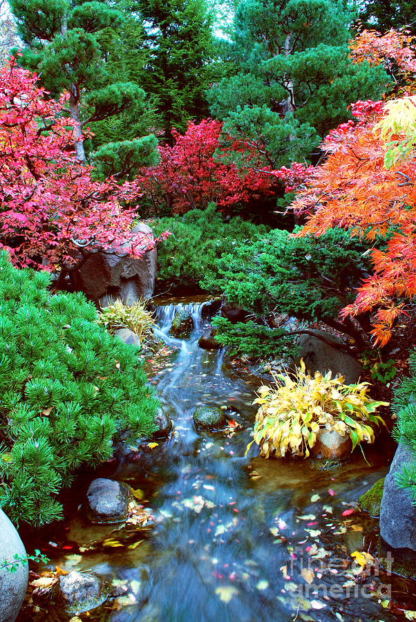Autumn Garden Waterfall I Photograph by Nancy Mueller