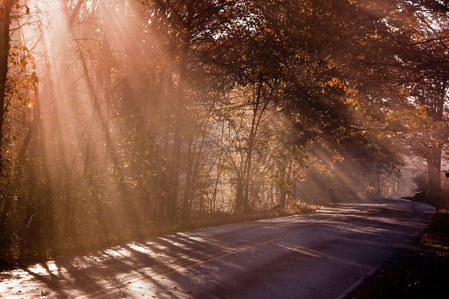 Autumn God Light Photograph by Tom Singleton