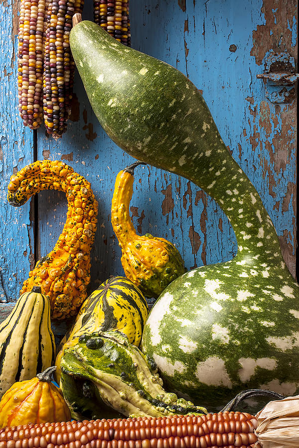 Fruit Photograph - Autumn gourds by Garry Gay