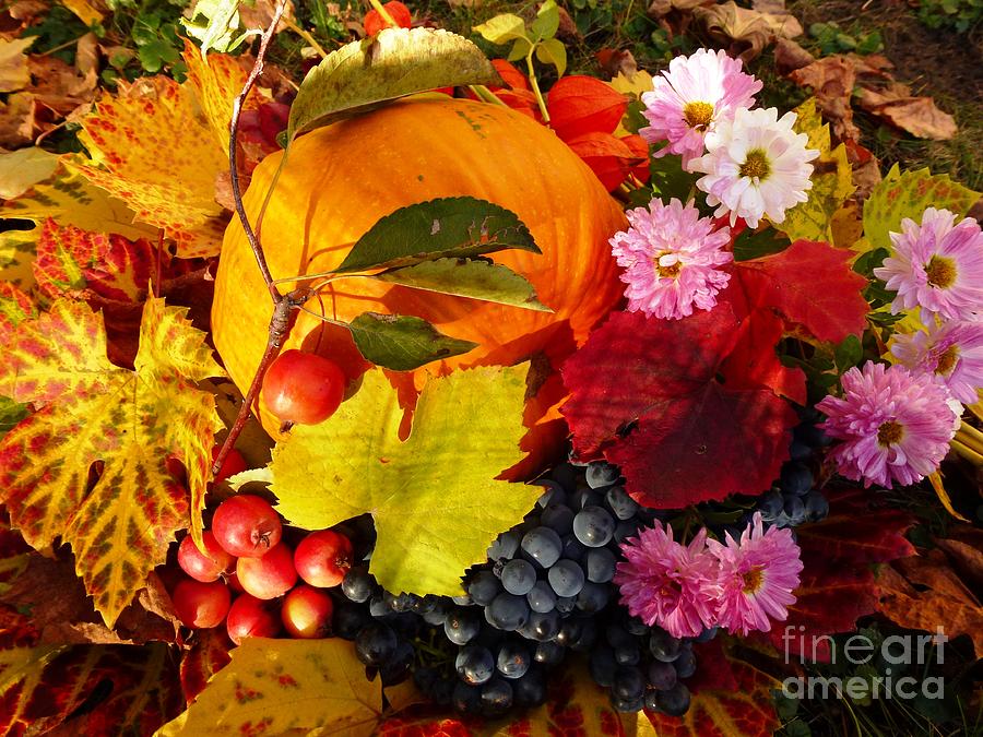 Autumn Harvest Photograph by Amalia Suruceanu