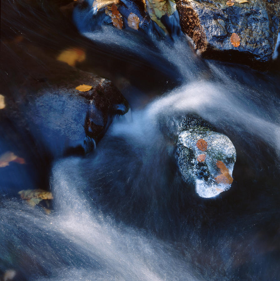 Autumn ice in a creek Photograph by Ulrich Kunst And Bettina Scheidulin