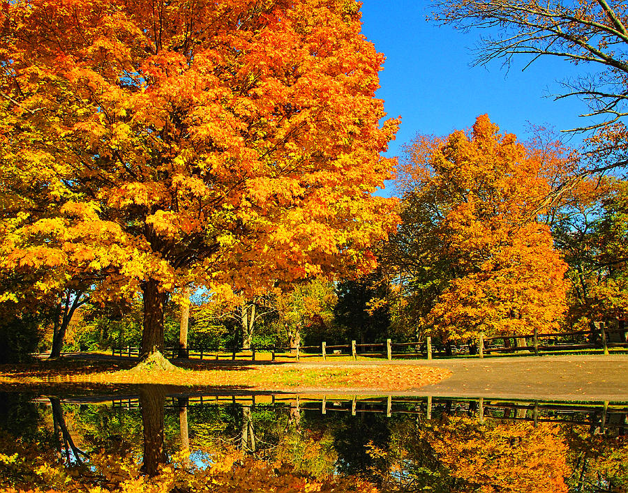 Autumn illusions Photograph by Irma Mason - Fine Art America