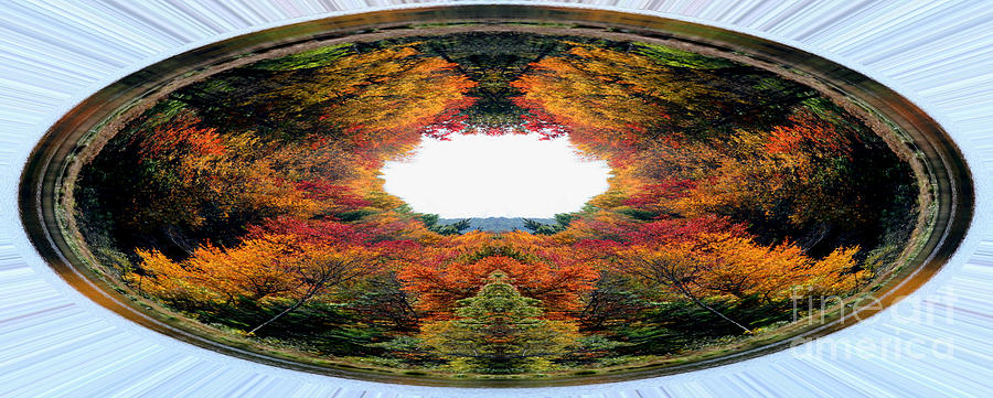 Autumn In Abstract Photograph by Smilin Eyes Treasures
