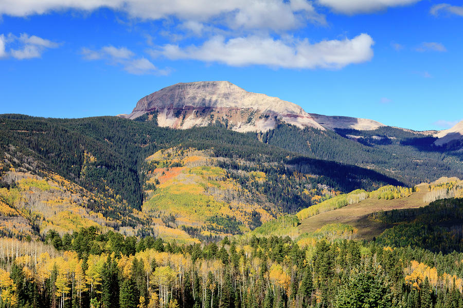 Fall Photograph - Autumn in Colorado by Tim Grams