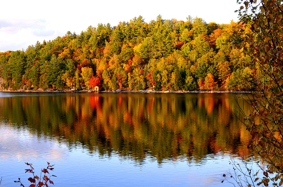Autumn in Cottage Country Photograph by Douglas Pike