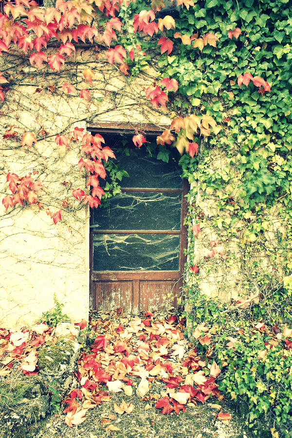 Fall Photograph - Autumn in France by Georgia Clare