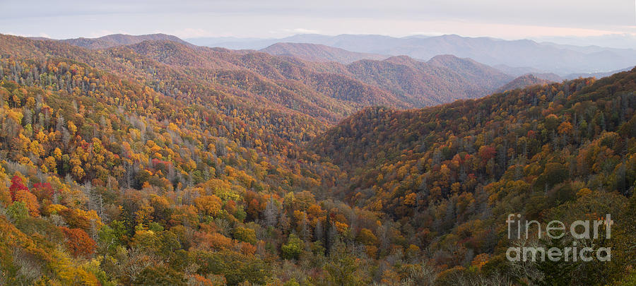 Autumn In Great Smokie Mountains National Park Photograph by Dustin K Ryan