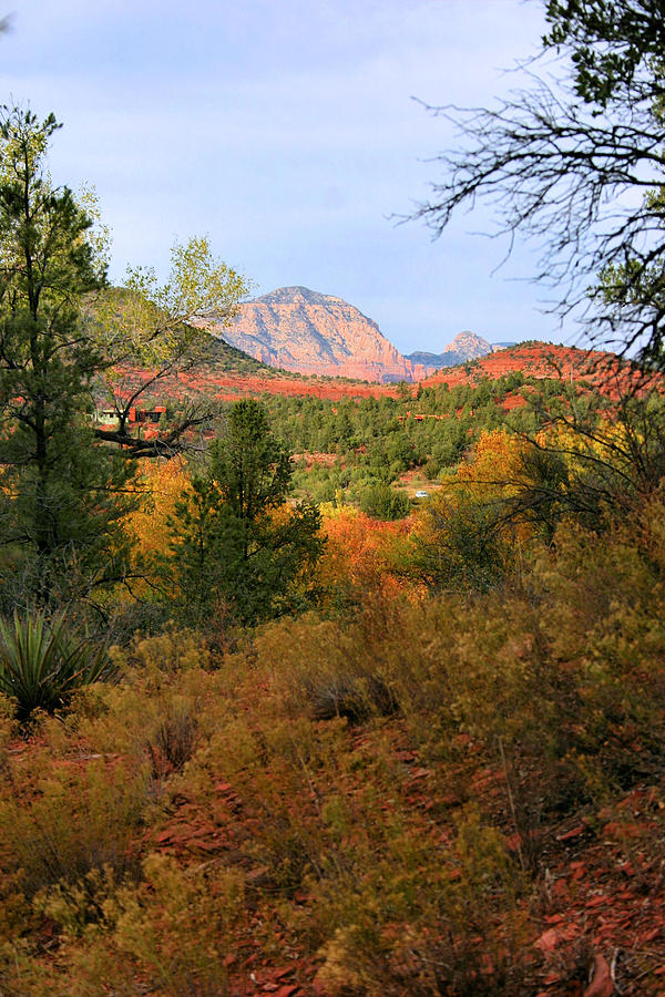 Fall Photograph - Autumn in Red Rock Canyon by Kristin Elmquist