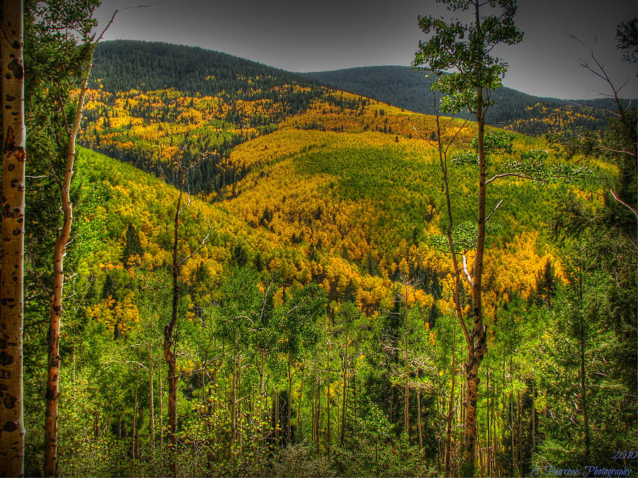 Autumn in the Rockies HDR Photograph by Aaron Burrows