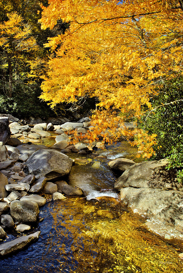 Autumn In The Smokies Photograph By Cheryl Davis