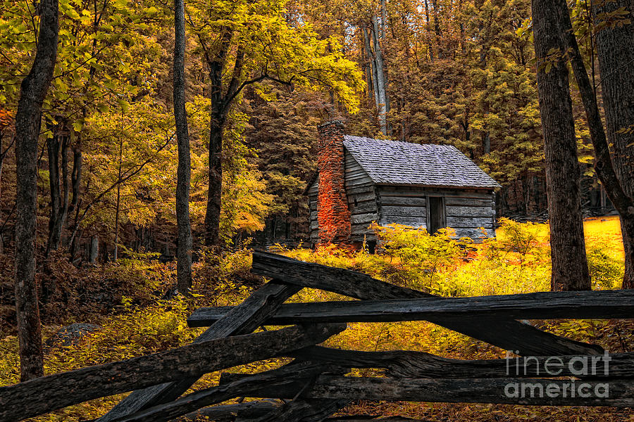 Tree Photograph - Autumn in the Smokies by Gina Cormier