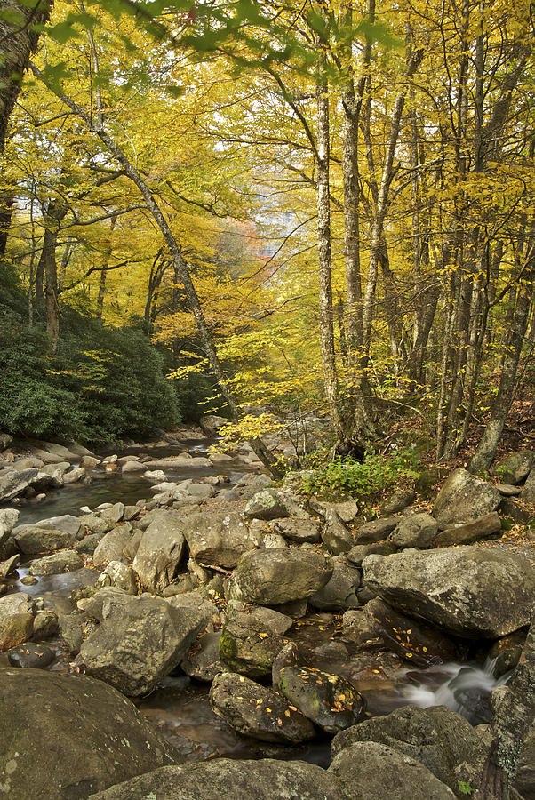 Autumn in the Smoky Mountains 6069 Photograph by Michael Peychich