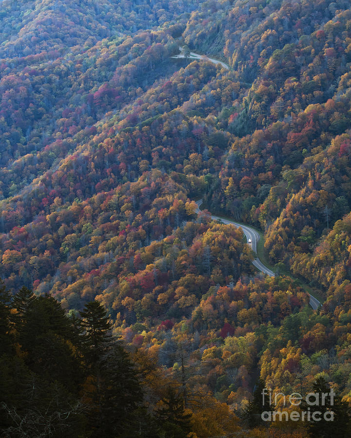 Autumn in the Smoky Mountains Photograph by Dennis Hedberg