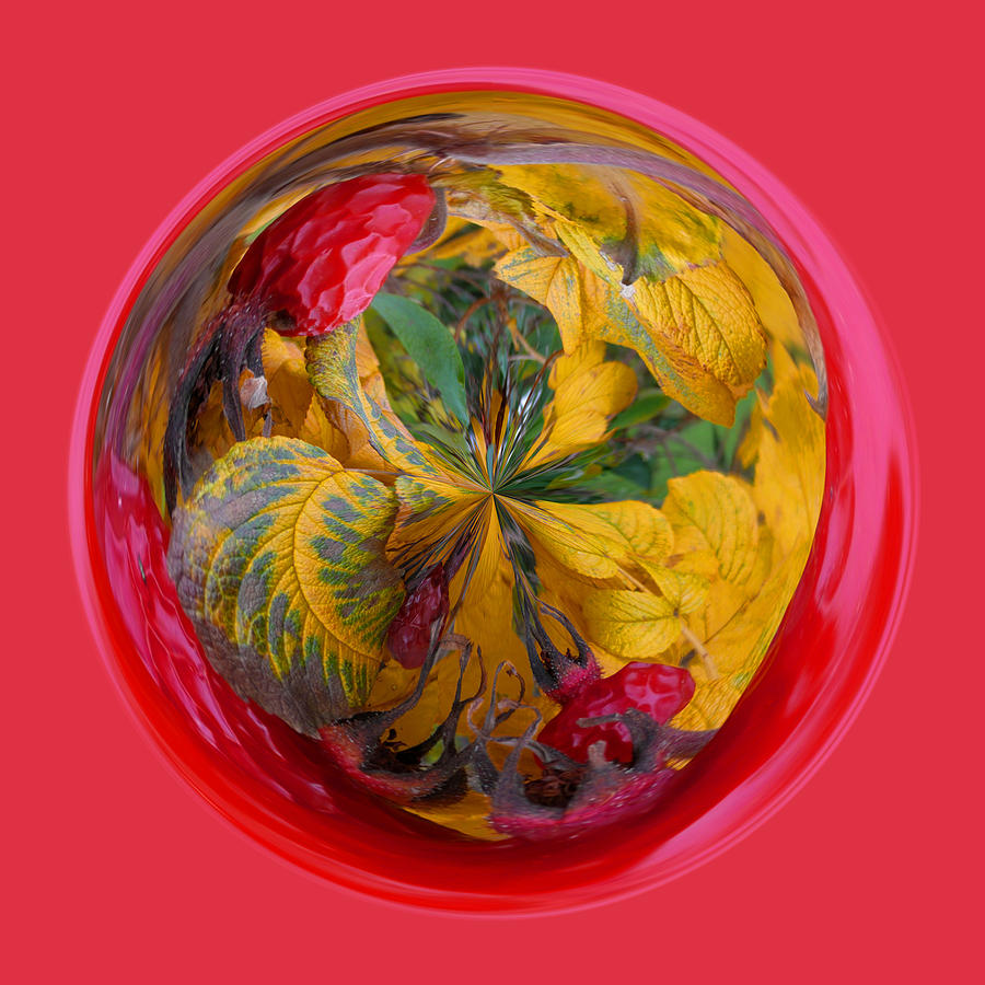 Nature Digital Art - Autumn in the sphere by Robert Gipson