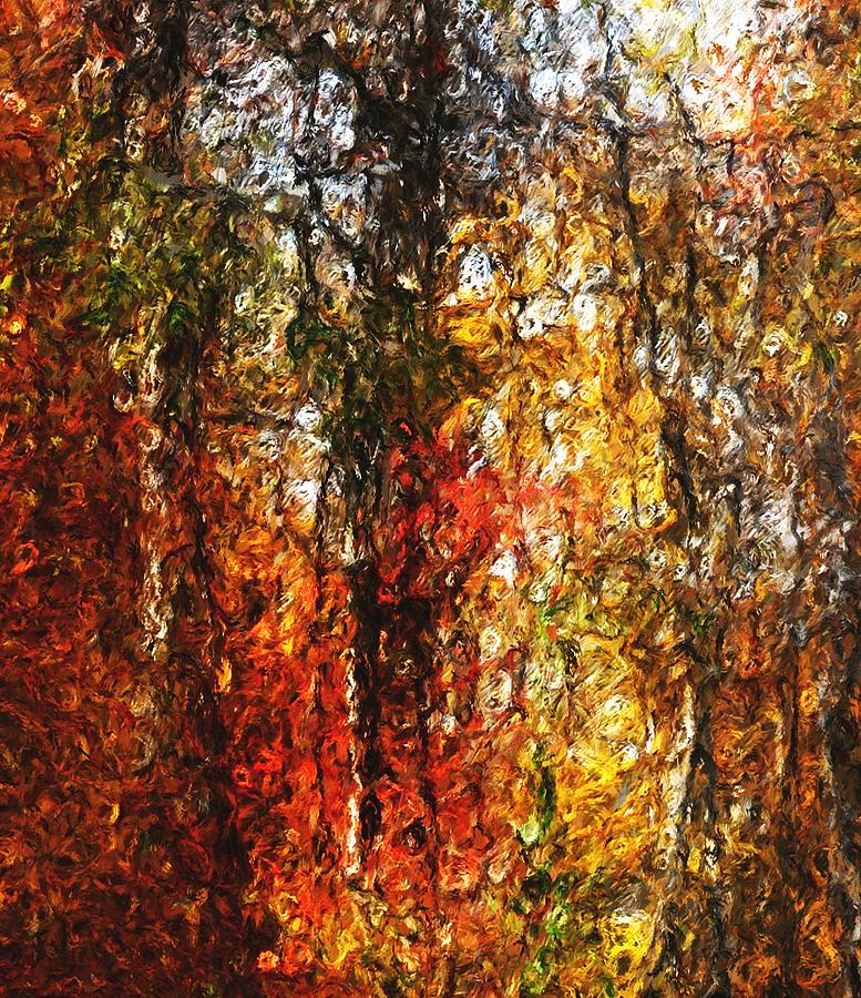 Autumn in the Woods Digital Art by David Lane