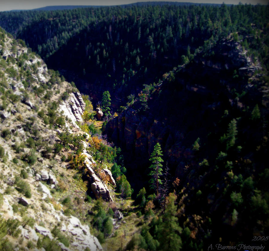 Autumn in Walnut Canyon Photograph by Aaron Burrows