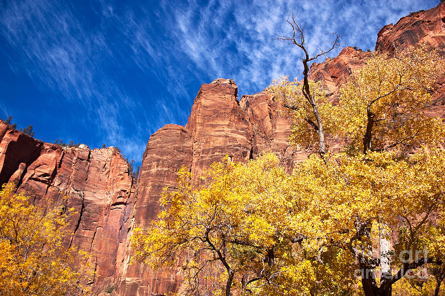 Autumn in Zion Photograph by Bob and Nancy Kendrick