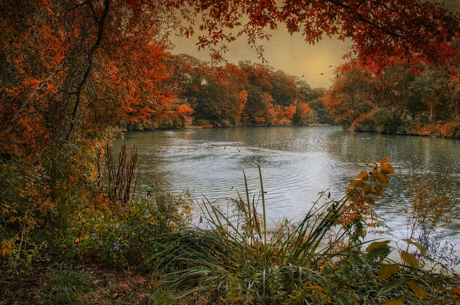 Autumn Joy Photograph by Robin-Lee Vieira