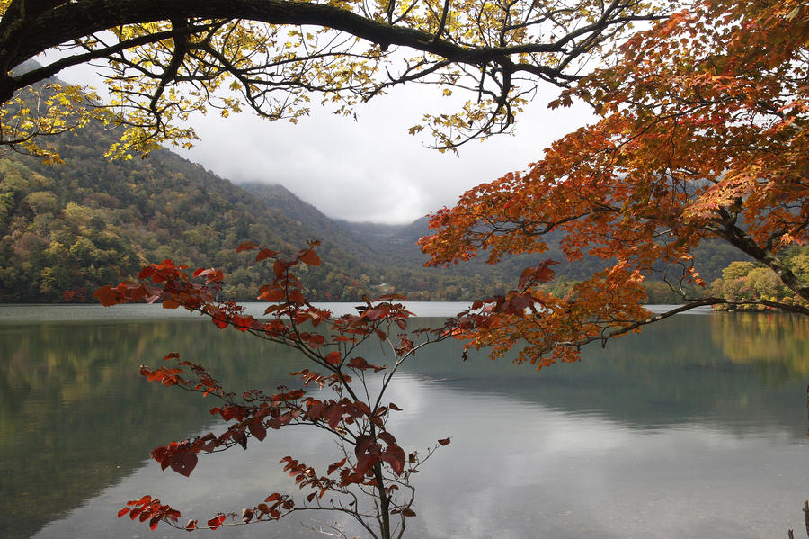 Autumn lake Photograph by Masami Iida