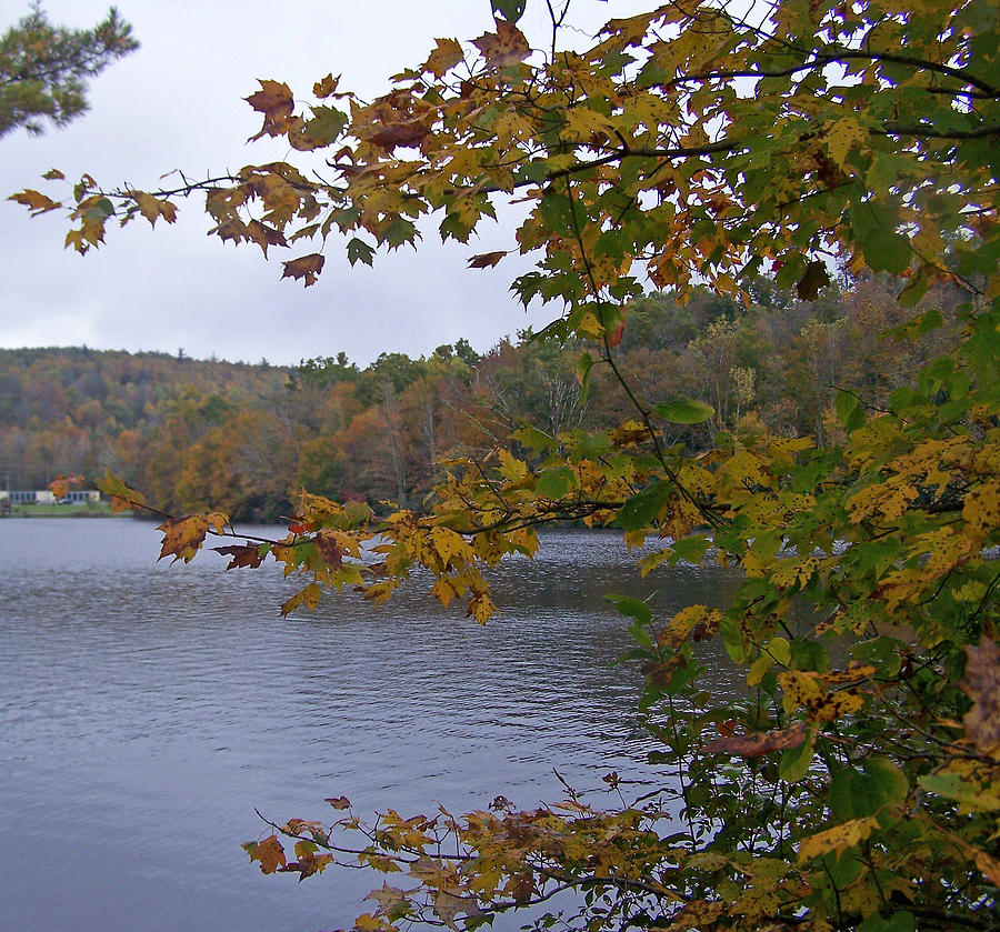 Blue Lake Photograph - Autumn Lake by Patricia Clark Taylor