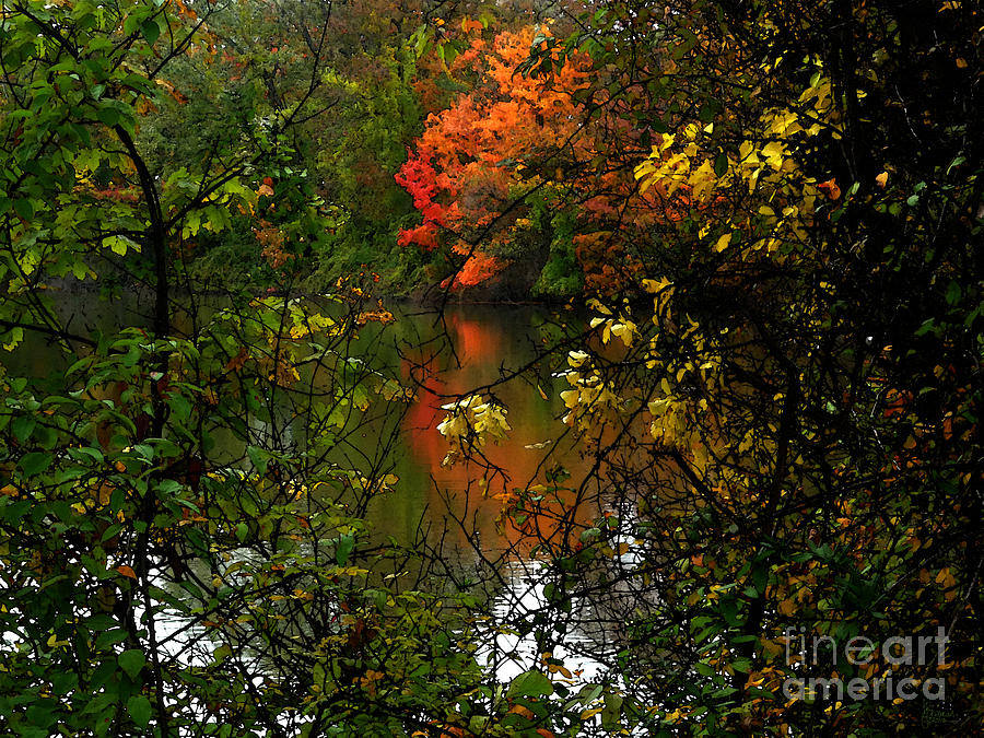 Autumn Lakeview Photograph by Jeff Breiman