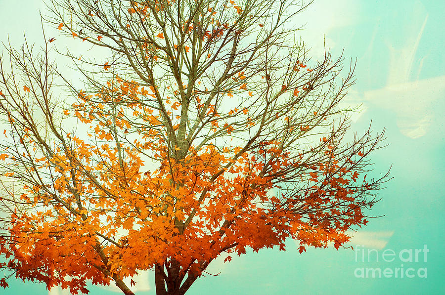 Autumn Landscape Photograph by Kim Fearheiley