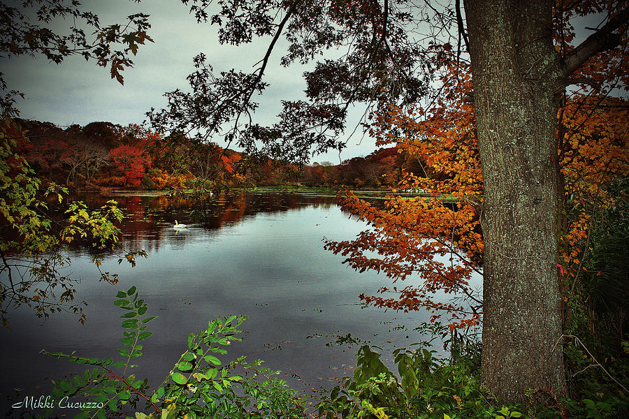 Autumn Landscape Photograph by Mikki Cucuzzo