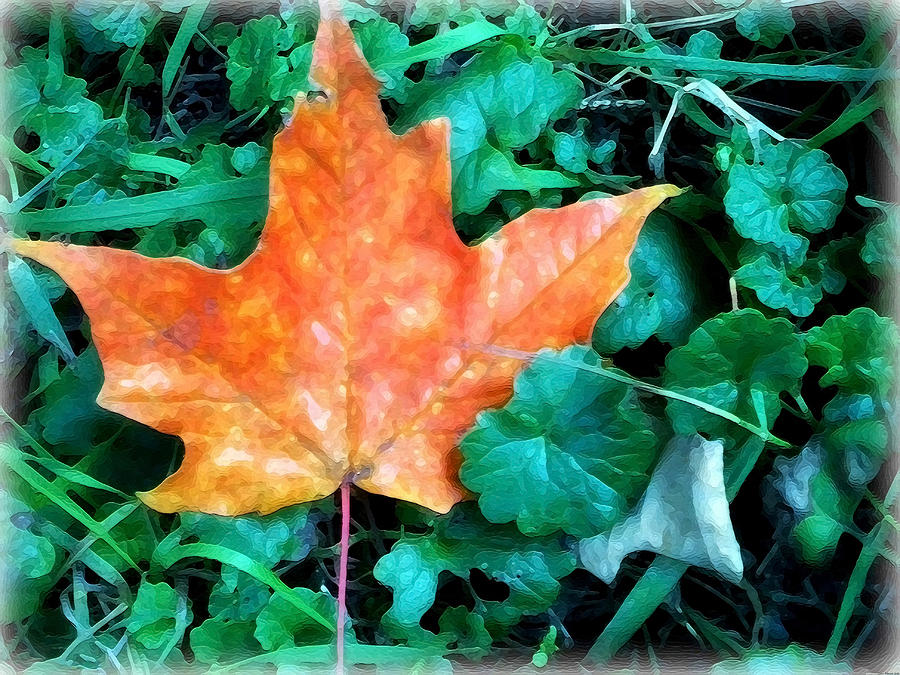 Autumn Leaf Digital Art by Miss Dawn | Fine Art America