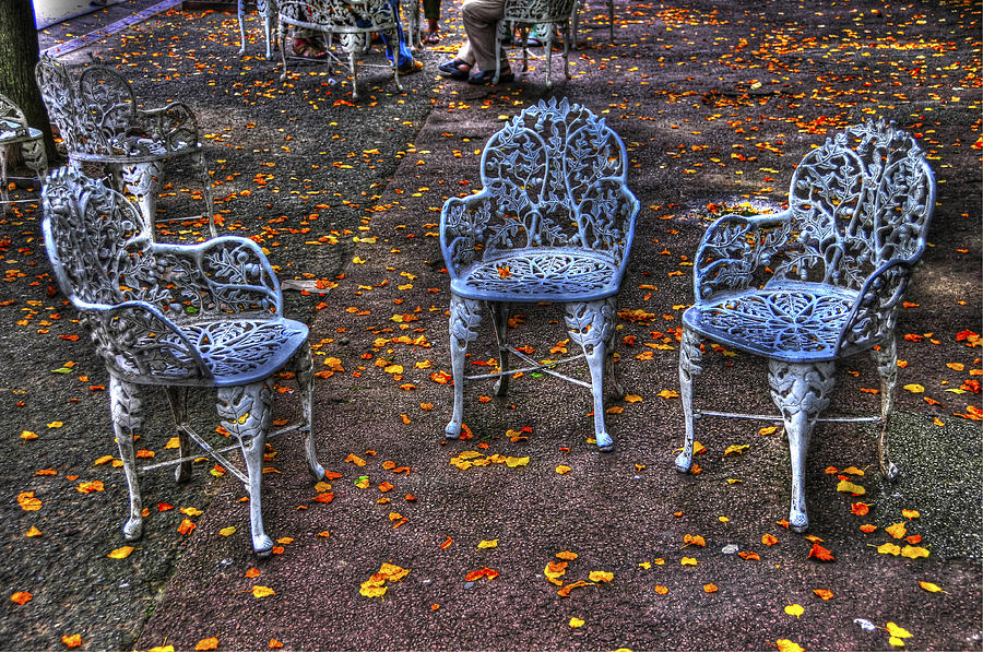 Autumn Leaves And Chairs In Liberty Island Photograph