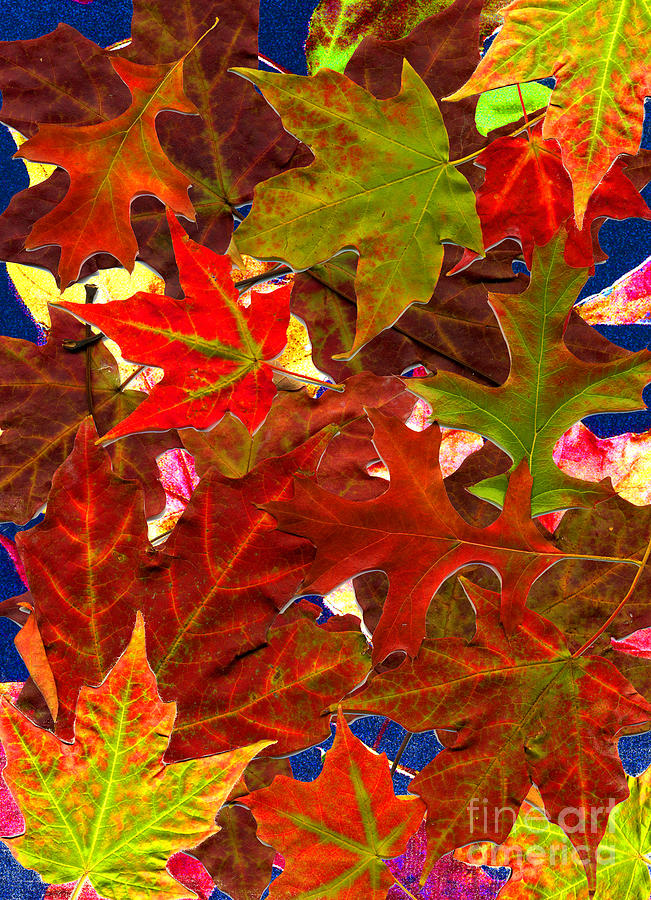 make-a-collage-from-autumn-leaves-fun-and-easy-craft-idea-for-kids