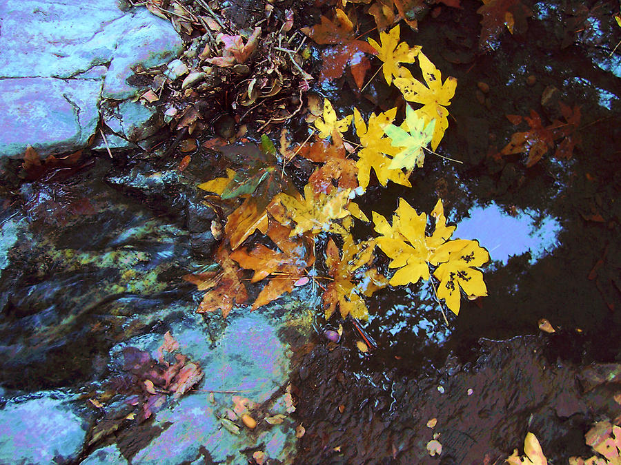 Autumn Photograph - Autumn Leaves In Spring by Alan Schwartz Autumn Photograph - Autumn Leaves In Spring by Alan Schwartz