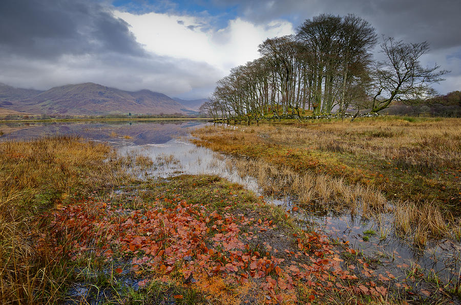 Autumn leaves Loch Awe Photograph by Gary Eason