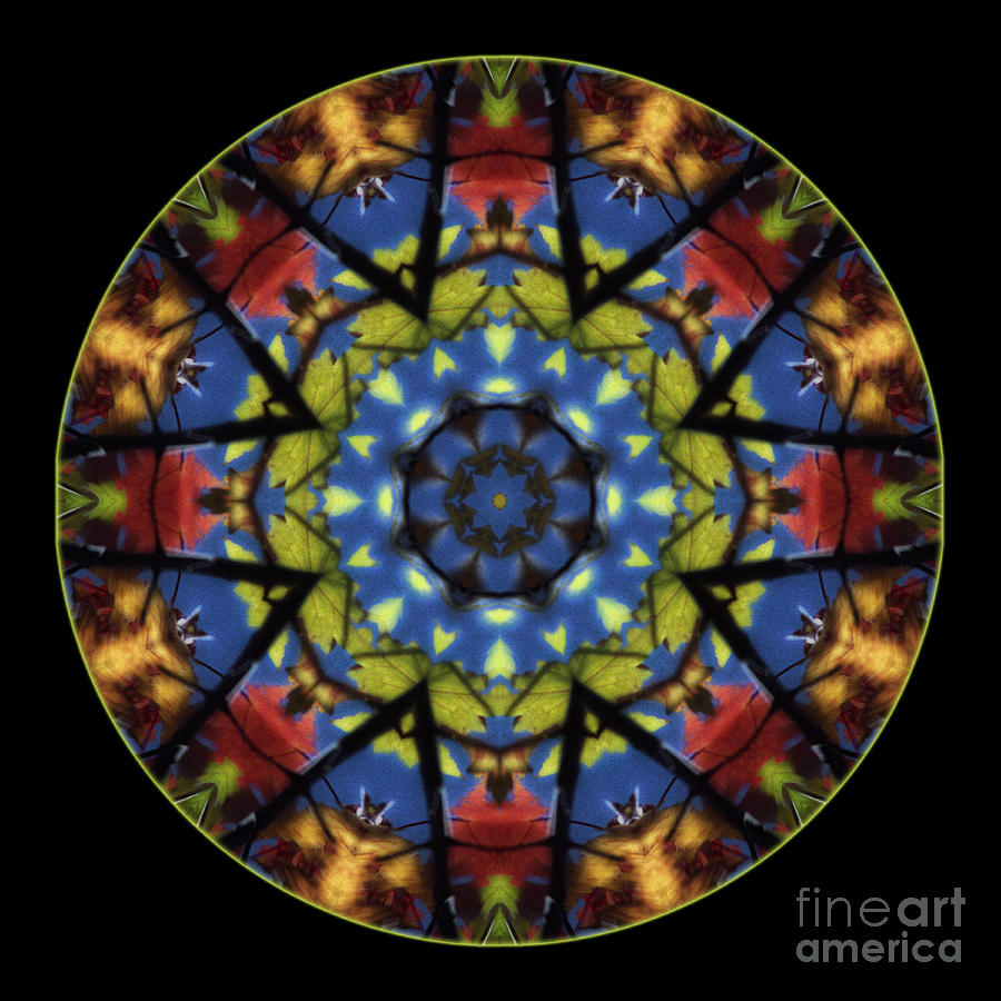 Autumn Leaves Reflection Mandala Photograph by Janeen Wassink Searles