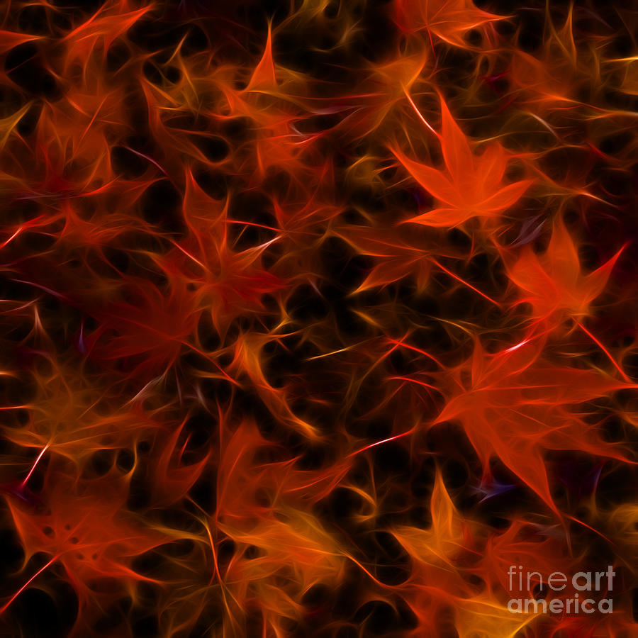 Autumn Leaves - Version 3 - Square Photograph by Wingsdomain Art and Photography
