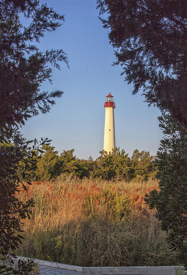 Autumn Lighthouse Photograph by Tom Singleton
