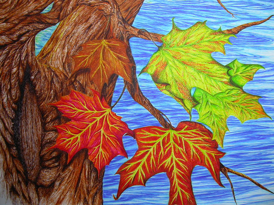 Autumn Drawing / How to Draw a Autumn Leaf Realism Challenge 1