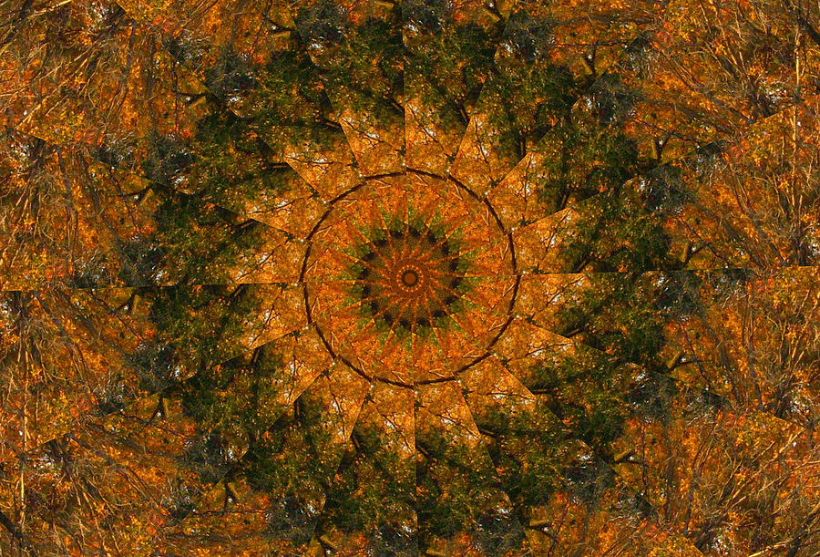 Autumn Kaleidoscope 1 Digital Art