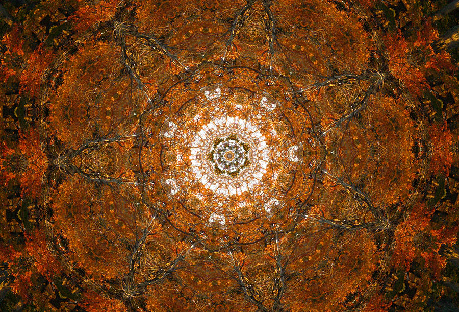 Autumn Kaleidoscope 3 Digital Art