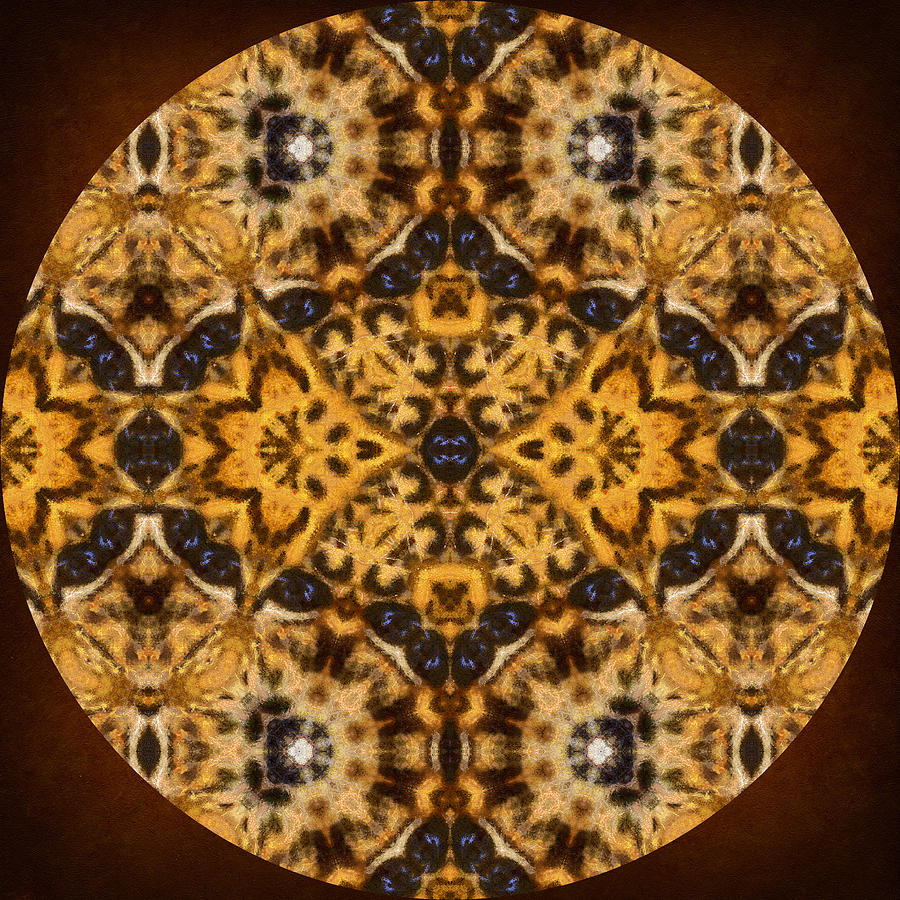Abstract Mixed Media - Autumn Mandala by Georgiana Romanovna