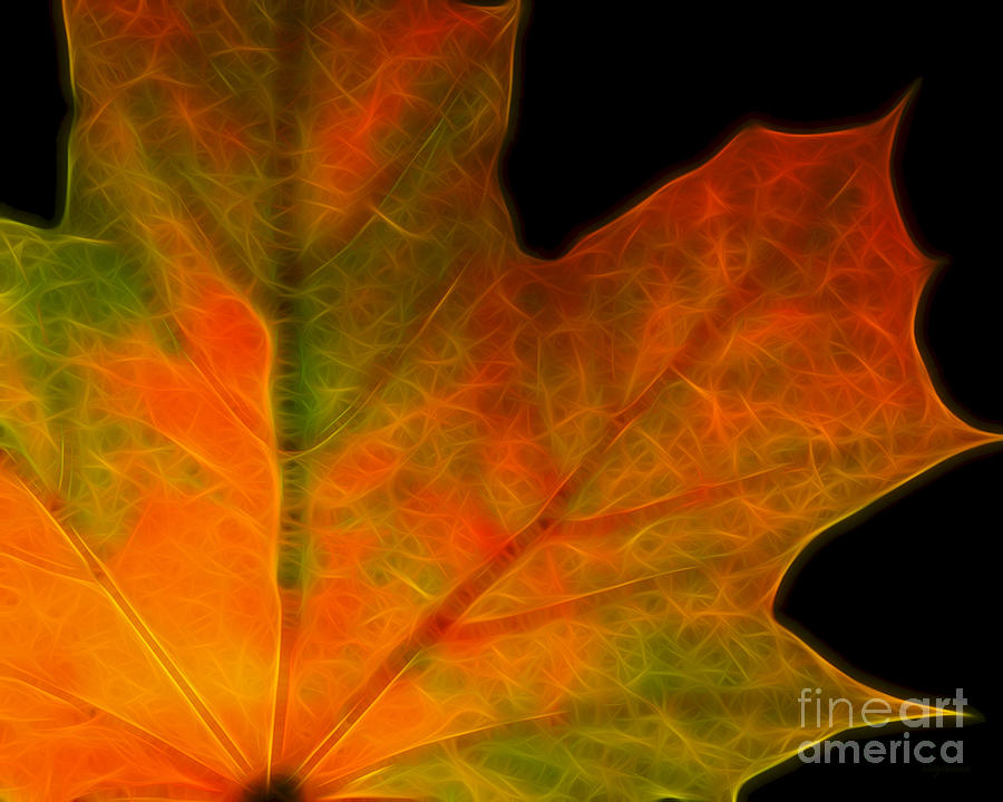 Fall Photograph - Autumn Maple Leaf by Wingsdomain Art and Photography
