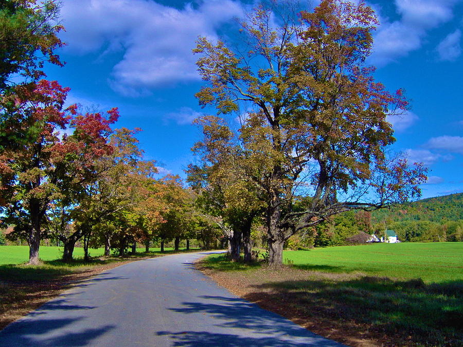 Autumn Maple-lined Road 12 Photograph by George Ramos