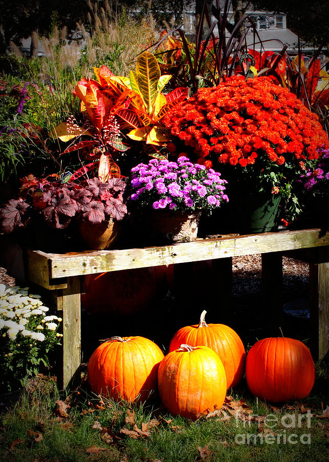 Autumn Market Photograph by Carol Groenen