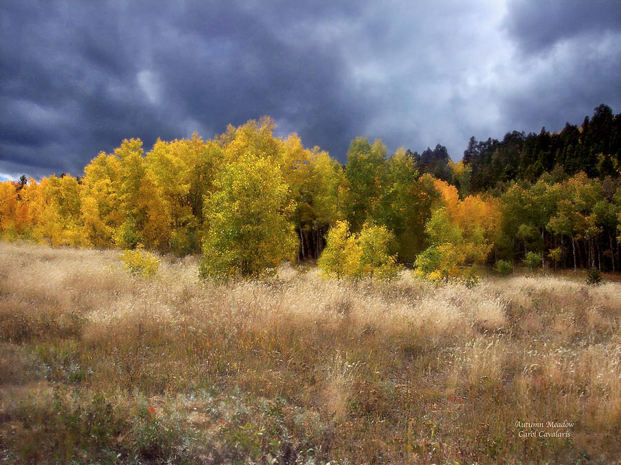 Fall Mixed Media - Autumn Meadow by Carol Cavalaris