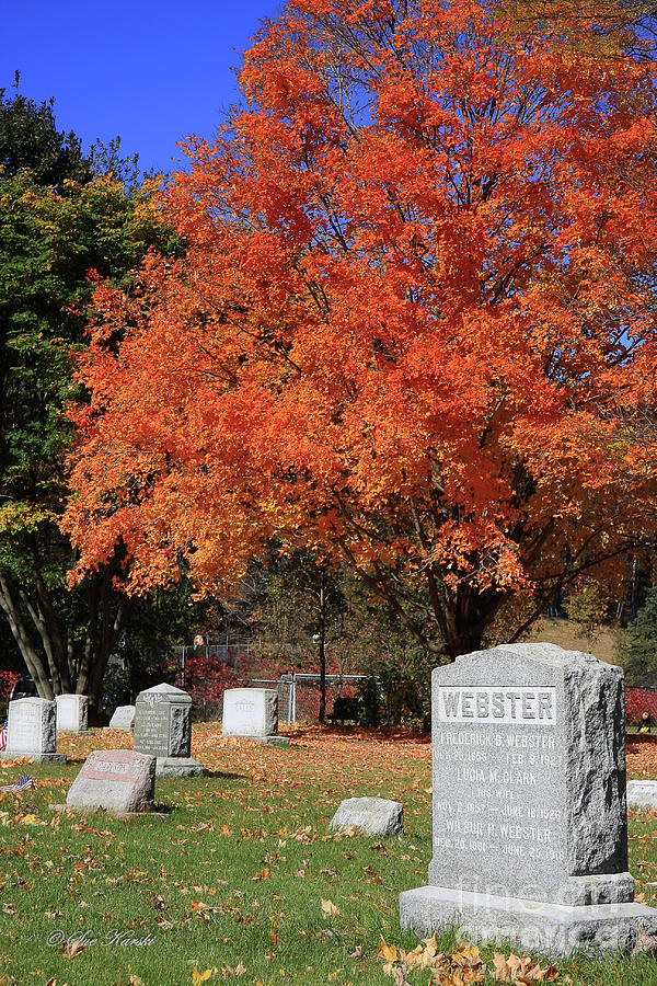 Autumn Memories Photograph by Sue Karski