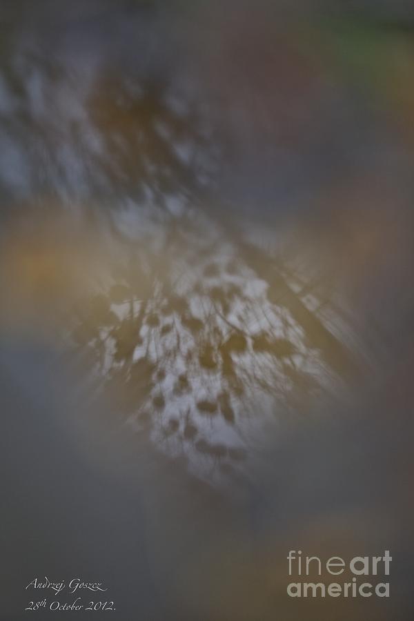 Autumn - Mirror Magic Sights Photograph by  Andrzej Goszcz 