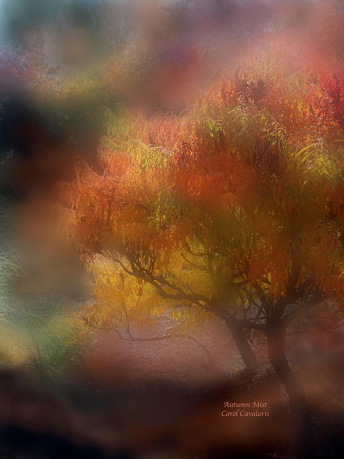 Autumn Scene Mixed Media - Autumn Mist by Carol Cavalaris